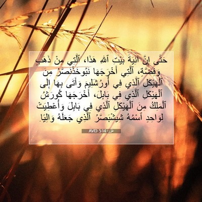 Picture 07 - عَزْرَا 5:14 AVD - حَتَّى إِنَّ آنِيَةَ - Bible Verse Picture