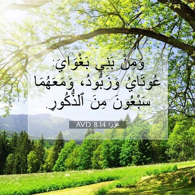 Picture 07 - عَزْرَا 8:14 AVD - وَمِنْ بَنِي بَغْوَايَ: - Bible Verse Picture