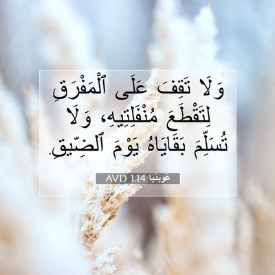 Picture 07 - عُوبَدْيَا 1:14 AVD - وَلَا تَقِفَ عَلَى - Bible Verse Picture