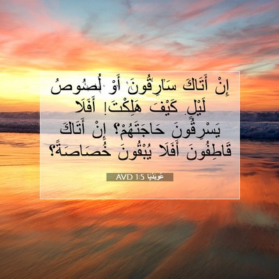 Picture 07 - عُوبَدْيَا 1:5 AVD - إِنْ أَتَاكَ سَارِقُونَ - Bible Verse Picture