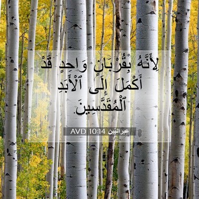Picture 07 - عِبرانِيّين 10:14 AVD - لِأَنَّهُ بِقُرْبَانٍ - Bible Verse Picture