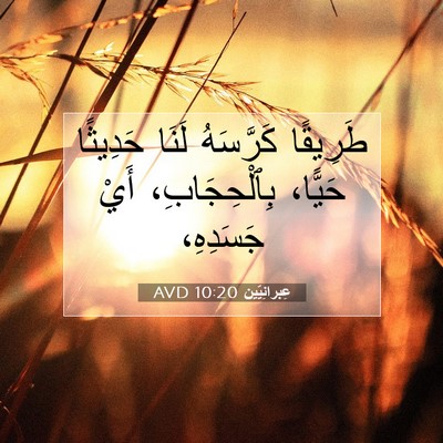 Picture 07 - عِبرانِيّين 10:20 AVD - طَرِيقًا كَرَّسَهُ لَنَا - Bible Verse Picture