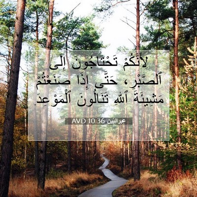 Picture 07 - عِبرانِيّين 10:36 AVD - لِأَنَّكُمْ تَحْتَاجُونَ - Bible Verse Picture
