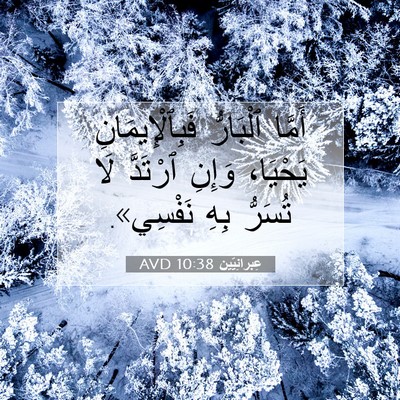 Picture 07 - عِبرانِيّين 10:38 AVD - أَمَّا ٱلْبَارُّ - Bible Verse Picture