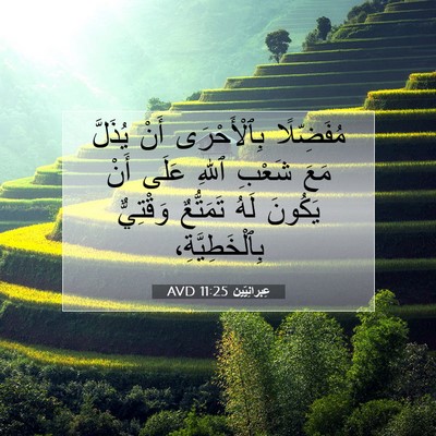 Picture 07 - عِبرانِيّين 11:25 AVD - مُفَضِّلًا بِٱلْأَحْرَى - Bible Verse Picture