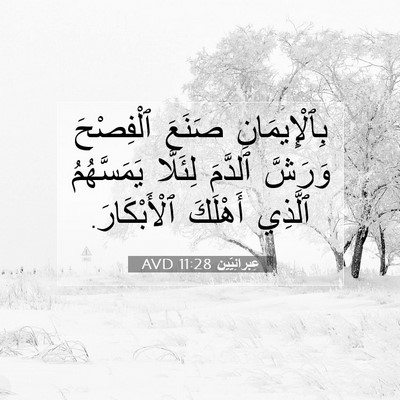 Picture 07 - عِبرانِيّين 11:28 AVD - بِٱلْإِيمَانِ صَنَعَ - Bible Verse Picture