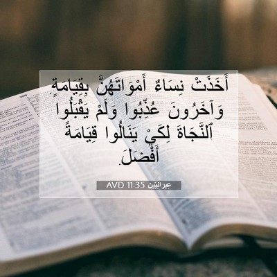 Picture 07 - عِبرانِيّين 11:35 AVD - أَخَذَتْ نِسَاءٌ - Bible Verse Picture