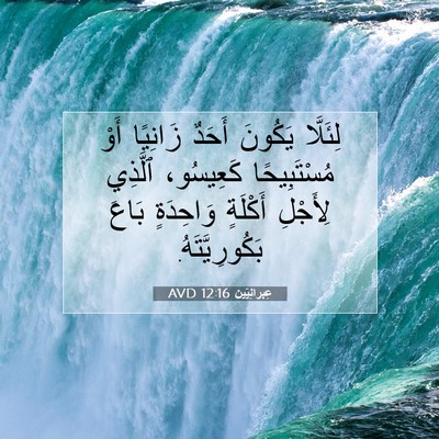 Picture 07 - عِبرانِيّين 12:16 AVD - لِئَلَّا يَكُونَ أَحَدٌ - Bible Verse Picture