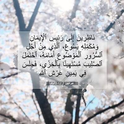Picture 07 - عِبرانِيّين 12:2 AVD - نَاظِرِينَ إِلَى رَئِيسِ - Bible Verse Picture