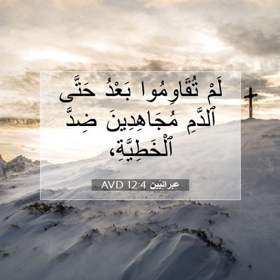 Picture 07 - عِبرانِيّين 12:4 AVD - لَمْ تُقَاوِمُوا بَعْدُ - Bible Verse Picture