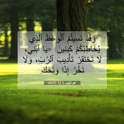 Picture 07 - عِبرانِيّين 12:5 AVD - وَقَدْ نَسِيتُمُ - Bible Verse Picture