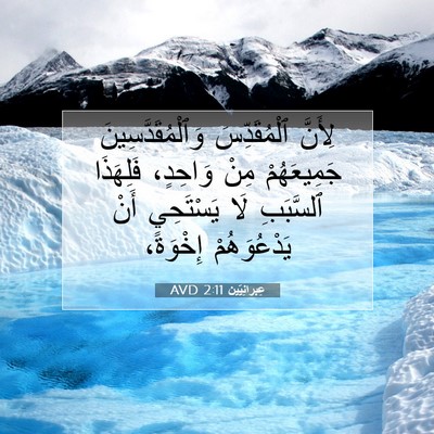 Picture 07 - عِبرانِيّين 2:11 AVD - لِأَنَّ ٱلْمُقَدِّسَ - Bible Verse Picture
