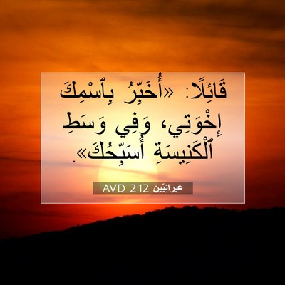 Picture 07 - عِبرانِيّين 2:12 AVD - قَائِلًا: «أُخَبِّرُ - Bible Verse Picture