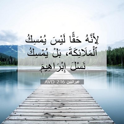 Picture 07 - عِبرانِيّين 2:16 AVD - لِأَنَّهُ حَقًّا لَيْسَ - Bible Verse Picture