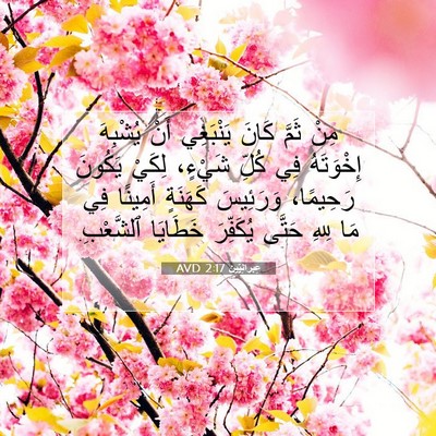 Picture 07 - عِبرانِيّين 2:17 AVD - مِنْ ثَمَّ كَانَ يَنْبَغِي - Bible Verse Picture