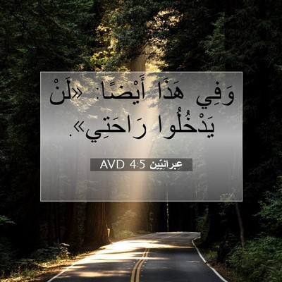 Picture 07 - عِبرانِيّين 4:5 AVD - وَفِي هَذَا أَيْضًا: «لَنْ - Bible Verse Picture