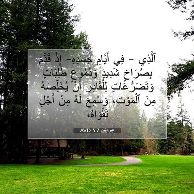 Picture 07 - عِبرانِيّين 5:7 AVD - ٱلَّذِي - فِي أَيَّامِ - Bible Verse Picture