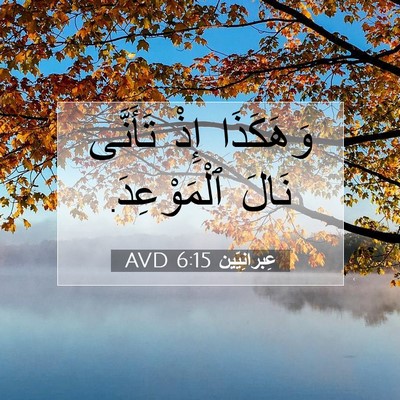 Picture 07 - عِبرانِيّين 6:15 AVD - وَهَكَذَا إِذْ تَأَنَّى - Bible Verse Picture