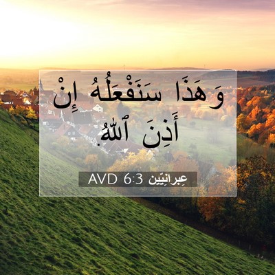 Picture 07 - عِبرانِيّين 6:3 AVD - وَهَذَا سَنَفْعَلُهُ إِنْ - Bible Verse Picture