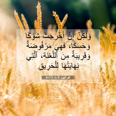 Picture 07 - عِبرانِيّين 6:8 AVD - وَلَكِنْ إِنْ أَخْرَجَتْ - Bible Verse Picture