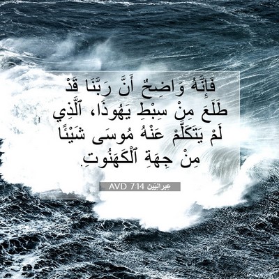Picture 07 - عِبرانِيّين 7:14 AVD - فَإِنَّهُ وَاضِحٌ أَنَّ - Bible Verse Picture