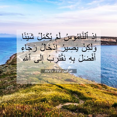 Picture 07 - عِبرانِيّين 7:19 AVD - إِذِ ٱلنَّامُوسُ لَمْ - Bible Verse Picture