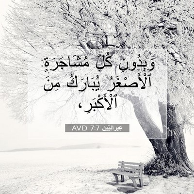 Picture 07 - عِبرانِيّين 7:7 AVD - وَبِدُونِ كُلِّ - Bible Verse Picture