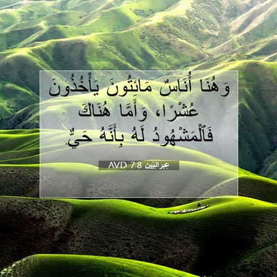 Picture 07 - عِبرانِيّين 7:8 AVD - وَهُنَا أُنَاسٌ - Bible Verse Picture