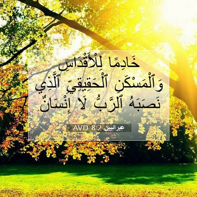 Picture 07 - عِبرانِيّين 8:2 AVD - خَادِمًا لِلْأَقْدَاسِ - Bible Verse Picture