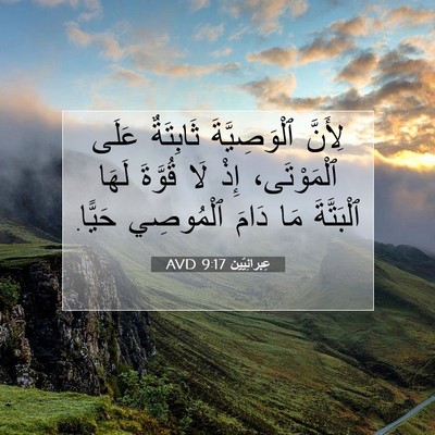 Picture 07 - عِبرانِيّين 9:17 AVD - لِأَنَّ ٱلْوَصِيَّةَ - Bible Verse Picture