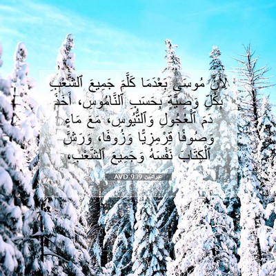 Picture 07 - عِبرانِيّين 9:19 AVD - لِأَنَّ مُوسَى بَعْدَمَا - Bible Verse Picture