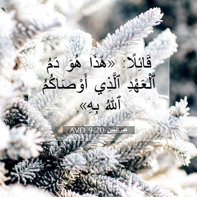 Picture 07 - عِبرانِيّين 9:20 AVD - قَائِلًا: «هَذَا هُوَ دَمُ - Bible Verse Picture