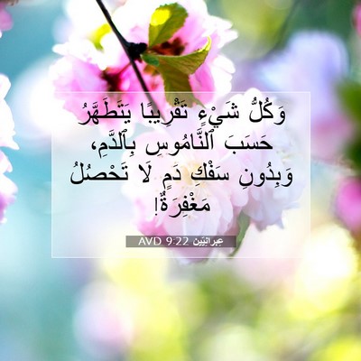 Picture 07 - عِبرانِيّين 9:22 AVD - وَكُلُّ شَيْءٍ تَقْرِيبًا - Bible Verse Picture