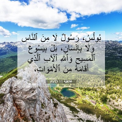 Picture 07 - غَلاطِيَّة 1:1 AVD - بُولُسُ، رَسُولٌ لَا مِنَ - Bible Verse Picture