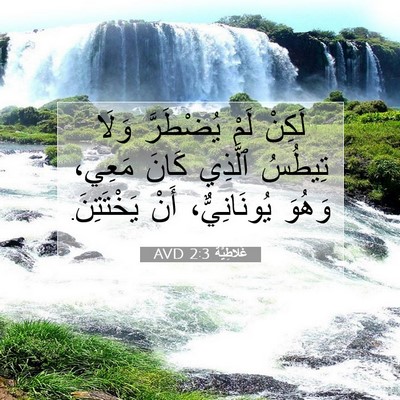 Picture 07 - غَلاطِيَّة 2:3 AVD - لَكِنْ لَمْ يُضْطَرَّ - Bible Verse Picture