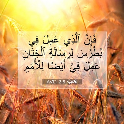 Picture 07 - غَلاطِيَّة 2:8 AVD - فَإِنَّ ٱلَّذِي عَمِلَ فِي - Bible Verse Picture