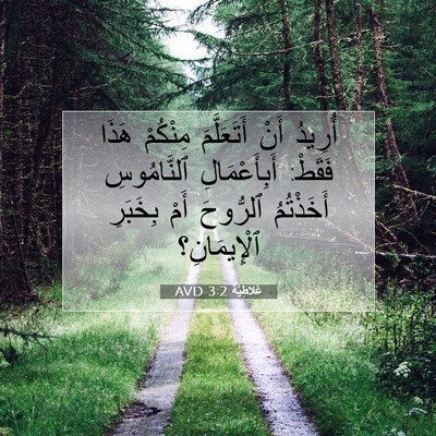 Picture 07 - غَلاطِيَّة 3:2 AVD - أُرِيدُ أَنْ أَتَعَلَّمَ - Bible Verse Picture