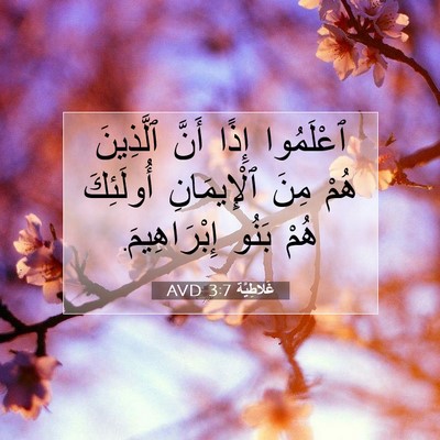 Picture 07 - غَلاطِيَّة 3:7 AVD - ٱعْلَمُوا إِذًا أَنَّ - Bible Verse Picture