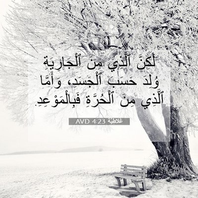 Picture 07 - غَلاطِيَّة 4:23 AVD - لَكِنَّ ٱلَّذِي مِنَ - Bible Verse Picture