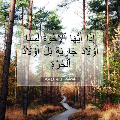 Picture 07 - غَلاطِيَّة 4:31 AVD - إِذًا أَيُّهَا - Bible Verse Picture