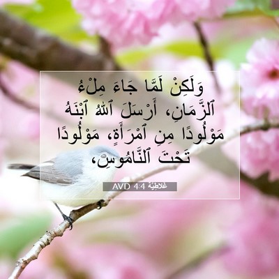 Picture 07 - غَلاطِيَّة 4:4 AVD - وَلَكِنْ لَمَّا جَاءَ - Bible Verse Picture