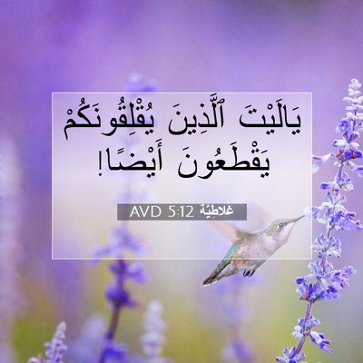 Picture 07 - غَلاطِيَّة 5:12 AVD - يَالَيْتَ ٱلَّذِينَ - Bible Verse Picture