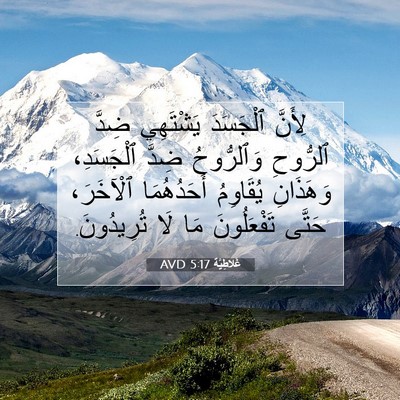 Picture 07 - غَلاطِيَّة 5:17 AVD - لِأَنَّ ٱلْجَسَدَ - Bible Verse Picture