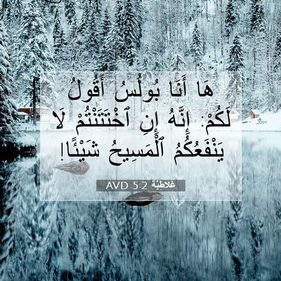 Picture 07 - غَلاطِيَّة 5:2 AVD - هَا أَنَا بُولُسُ أَقُولُ - Bible Verse Picture