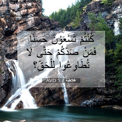 Picture 07 - غَلاطِيَّة 5:7 AVD - كُنْتُمْ تَسْعَوْنَ - Bible Verse Picture