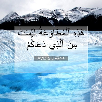 Picture 07 - غَلاطِيَّة 5:8 AVD - هَذِهِ ٱلْمُطَاوَعَةُ - Bible Verse Picture