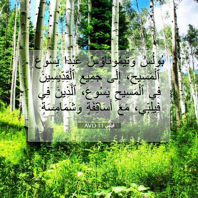 Picture 07 - فِيلِبِّي 1:1 AVD - بُولُسُ وَتِيمُوثَاوُسُ - Bible Verse Picture