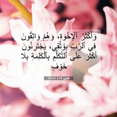 Picture 07 - فِيلِبِّي 1:14 AVD - وَأَكْثَرُ ٱلْإِخْوَةِ، - Bible Verse Picture