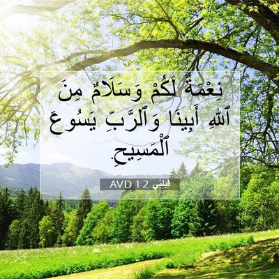 Picture 07 - فِيلِبِّي 1:2 AVD - نِعْمَةٌ لَكُمْ وَسَلَامٌ - Bible Verse Picture