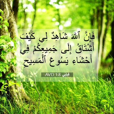 Picture 07 - فِيلِبِّي 1:8 AVD - فَإِنَّ ٱللهَ شَاهِدٌ لِي - Bible Verse Picture
